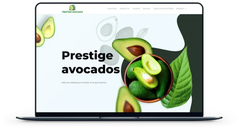 Avocados